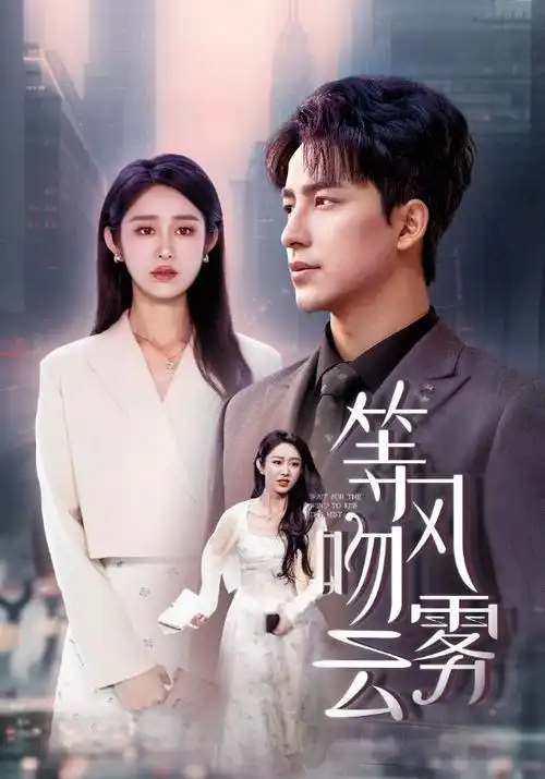 雾城十二时 热播电视剧全集手机免费在线观看